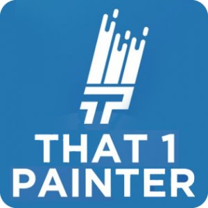 That 1 Painter Denver